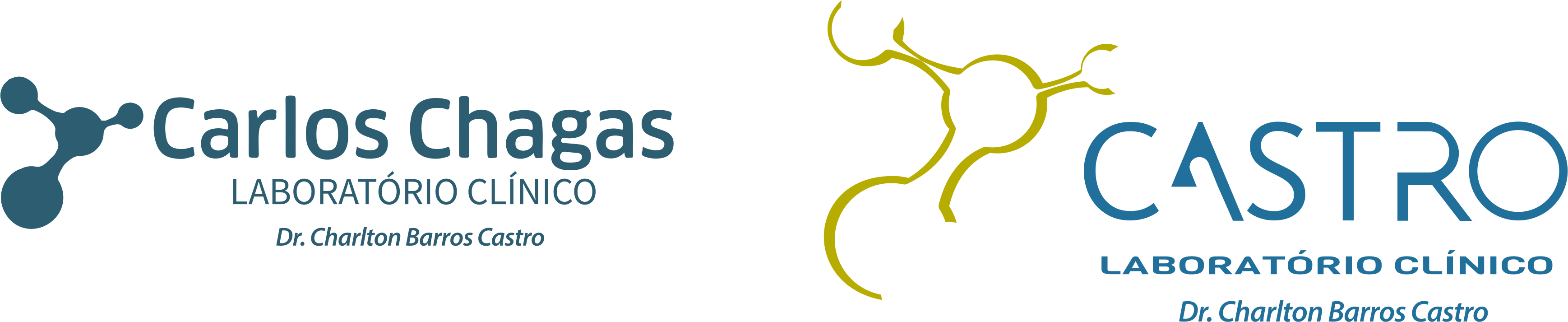 Castro Laboratório Logo